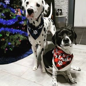 Meet your Posher, Ciara